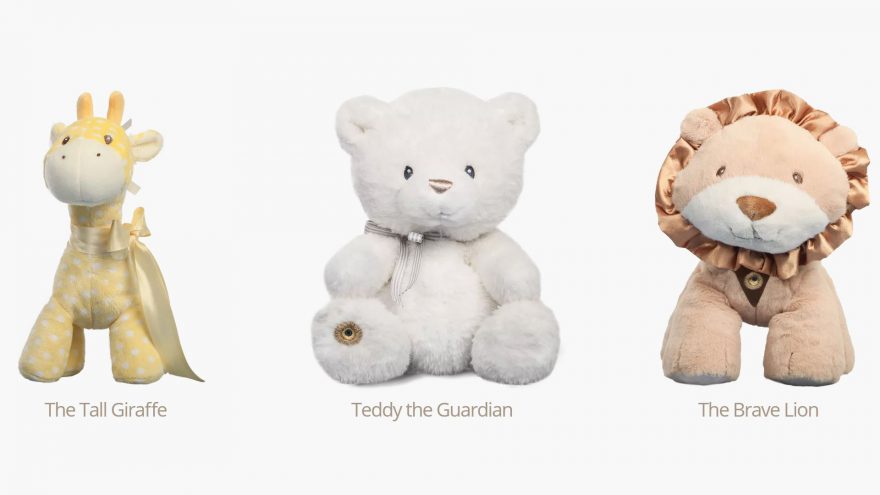 Teddy the Guardian : Personal fuzzy guard with special powers